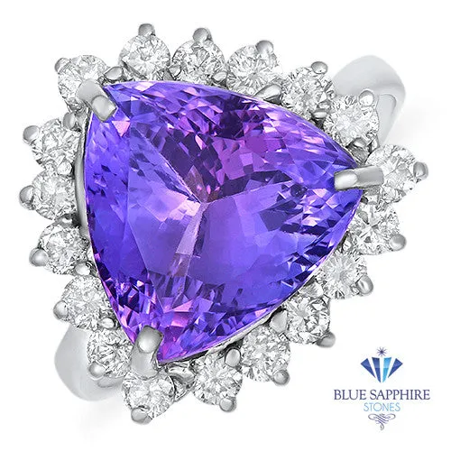 5.06ct Trillion Tanzanite Ring with Diamond Halo in 14K White Gold