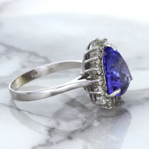 5.06ct Trillion Tanzanite Ring with Diamond Halo in 14K White Gold