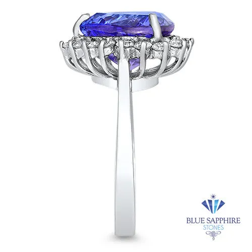 5.06ct Trillion Tanzanite Ring with Diamond Halo in 14K White Gold