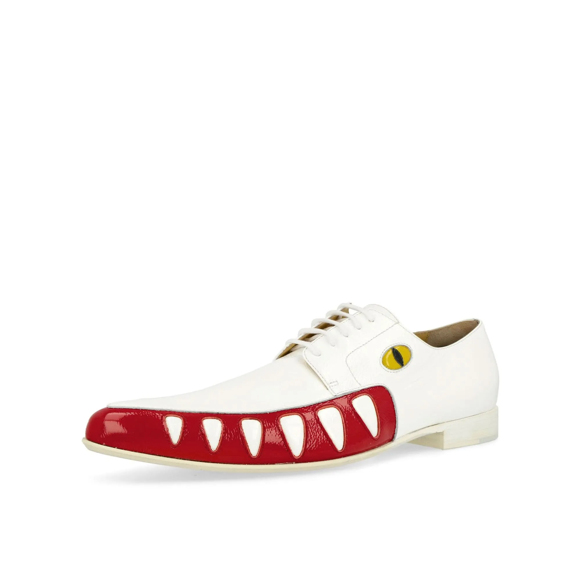Crocodile Shoes