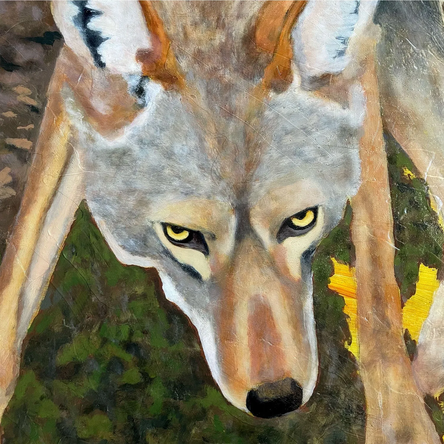 "Embaucador" Coyote Painting 18x24