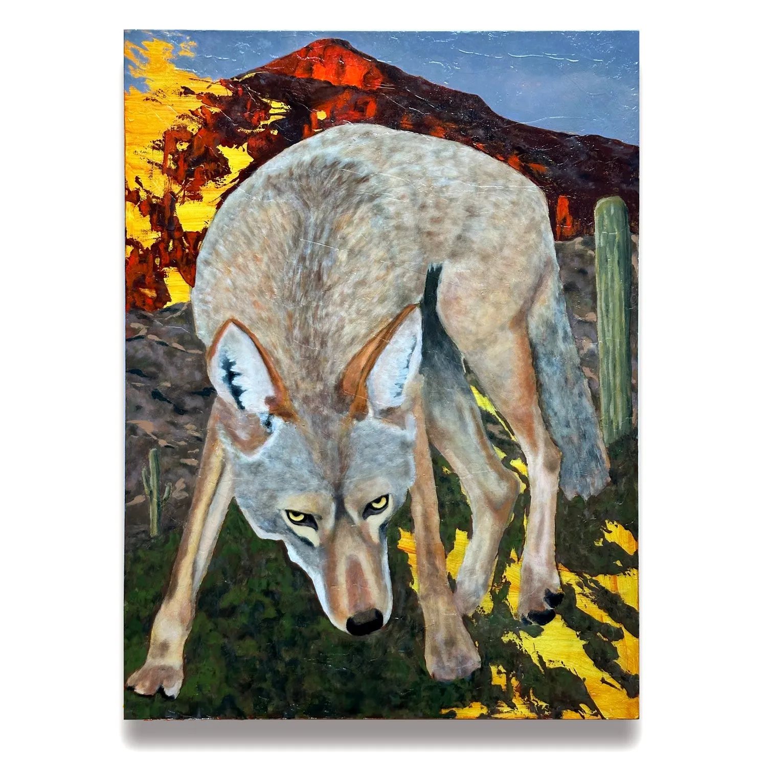 "Embaucador" Coyote Painting 18x24