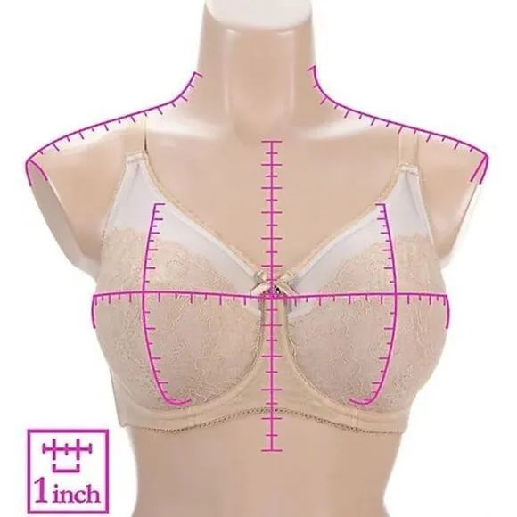 Wacoal NWT Retro Chic Full Figure Underwire Lace Bra Sz 36DD